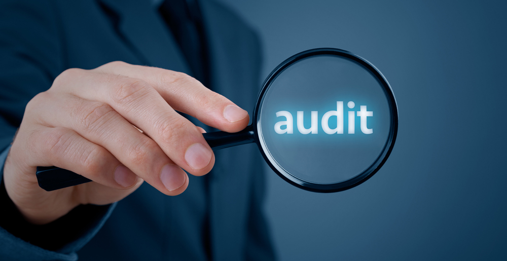 Audit Services in Pune